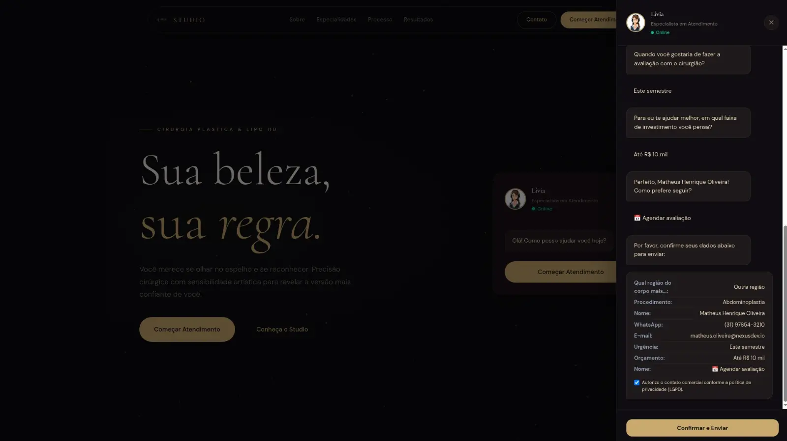 Triagem no resumo, botão de confirmar e enviar